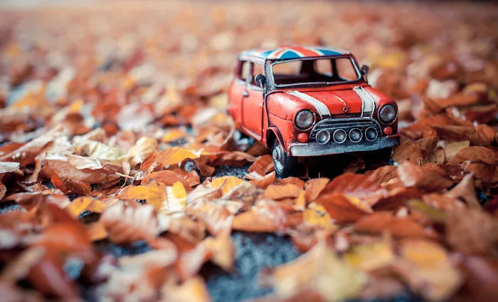 Autumn Leaves