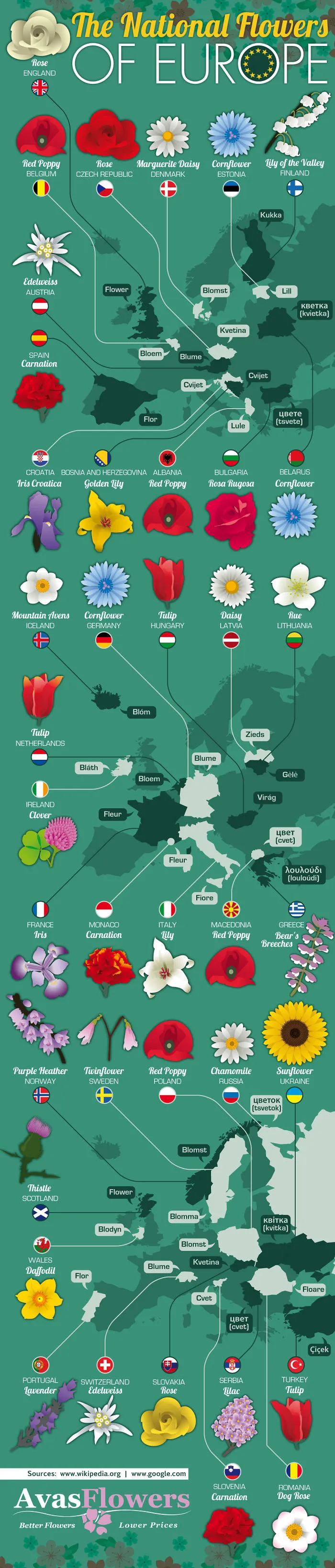 Found This Cool Map Of European National Flowers