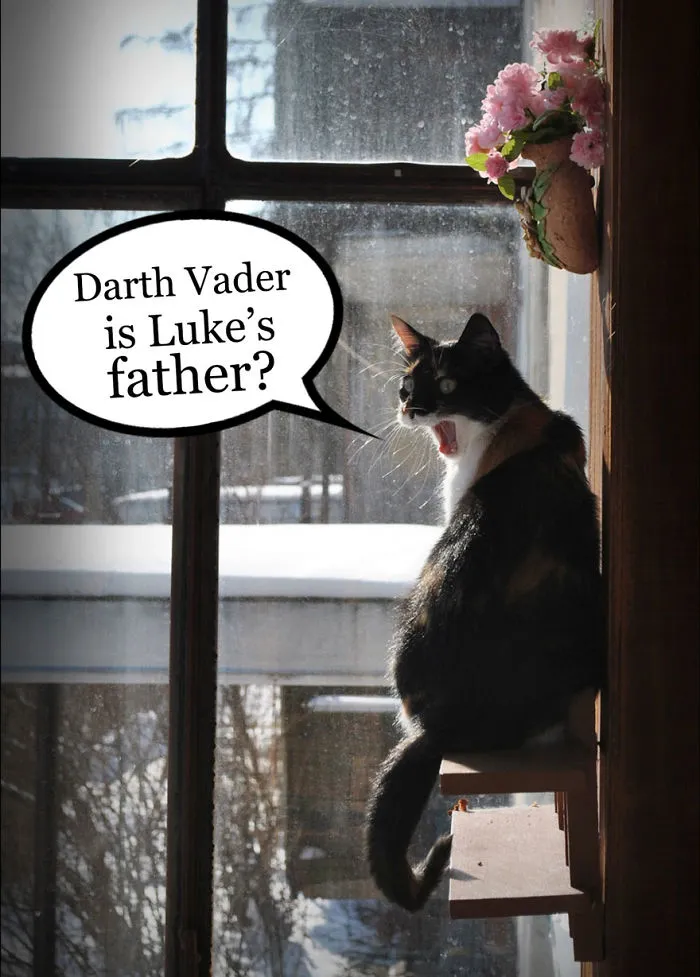 Spoiler Alert