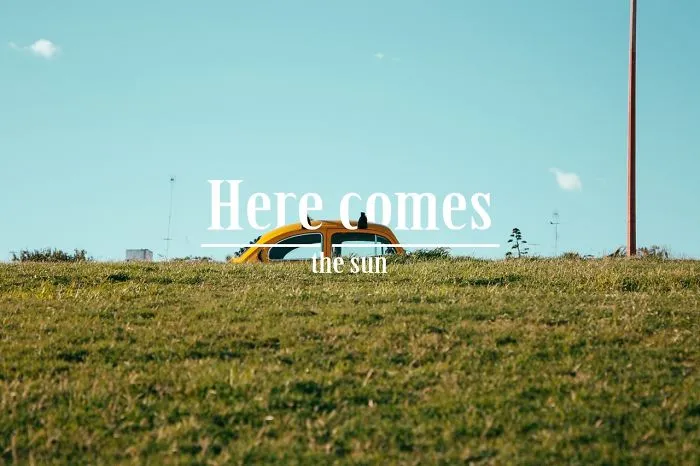 I Combine Song Lyrics With My Personal Best Photos To Tell A Fun Story