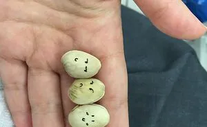 I Drew Faces On Pistachios And The Results Were Fabulous!
