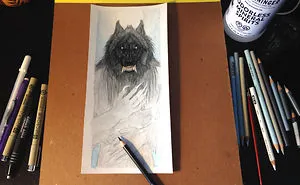 I Wrote A Horror Werewolf Romance Novel...with Illustrations.