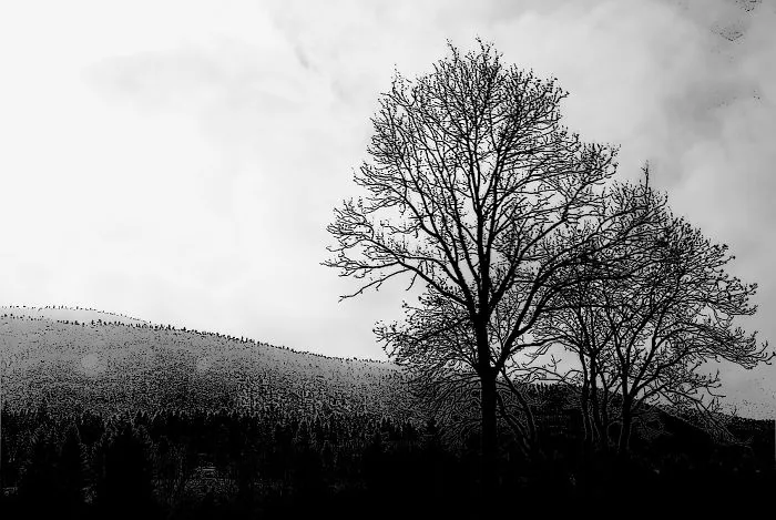 A Sad Winter Day