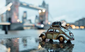 Exploring This Big Wild World With My Little Cars