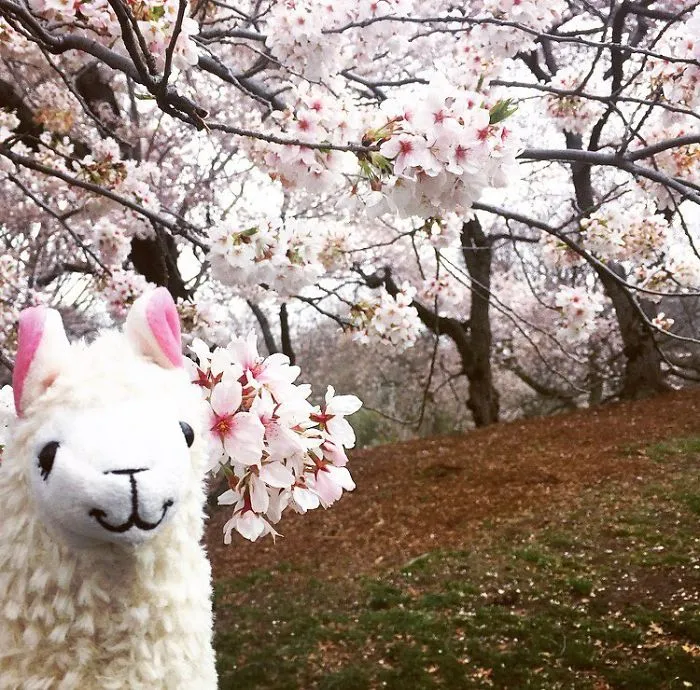 Hello Spring!
