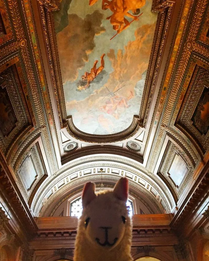 Spending The Day In Museums And Libraries