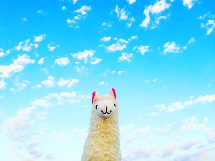 I Believe I Can Fly