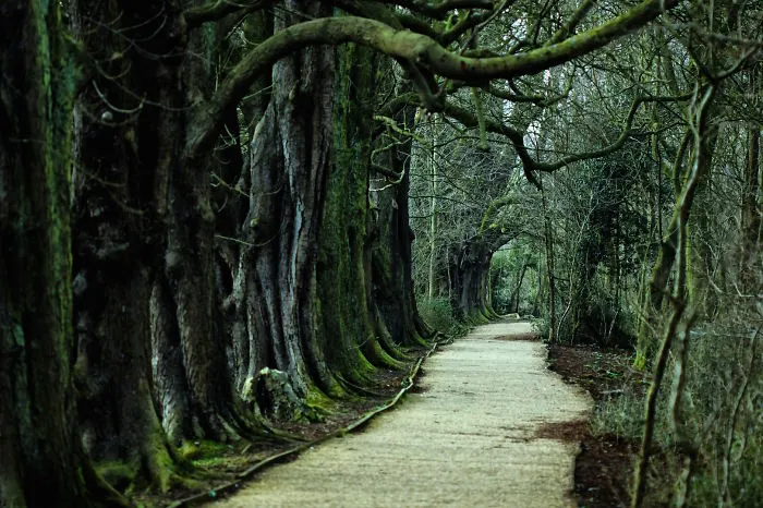 No Need For Fantasy, Our Planet Is Pretty Great As It Is