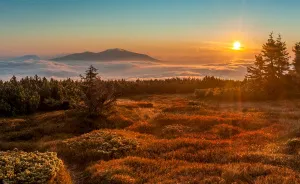 I Found Magic Photographing These Mountains Of Poland