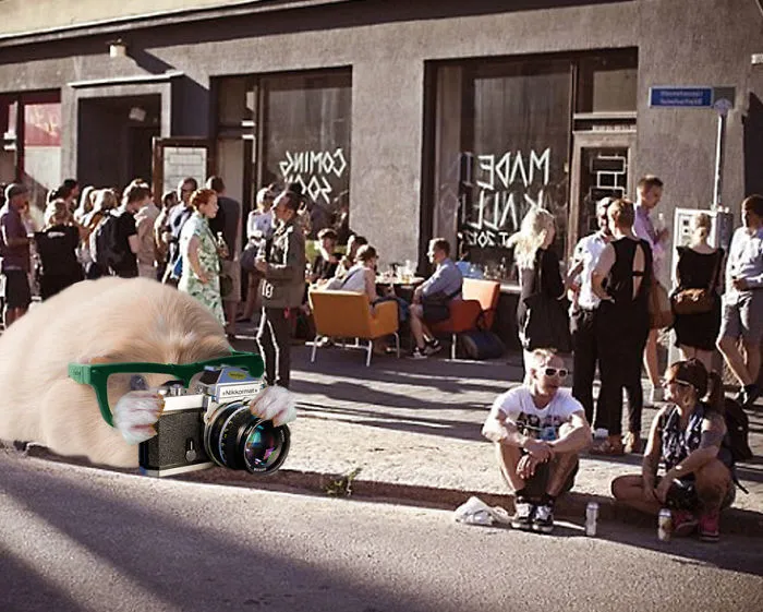 Hipster Photographer