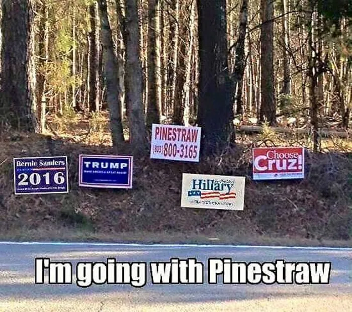 Pinestraw
