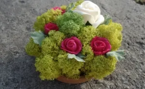 We Create Decorations From Moss For Nature Lovers
