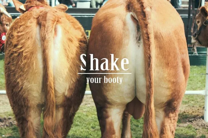 I Combine Song Lyrics With My Personal Best Photos To Tell A Fun Story
