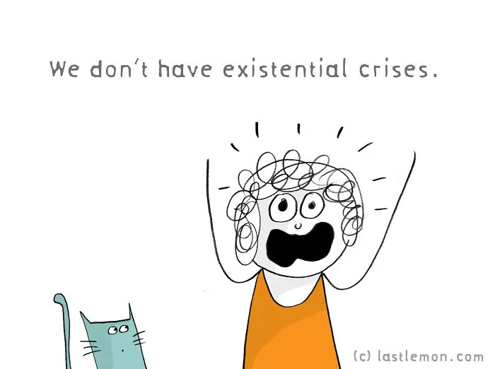 Why Are Us, Cats Better Than You, Humans?