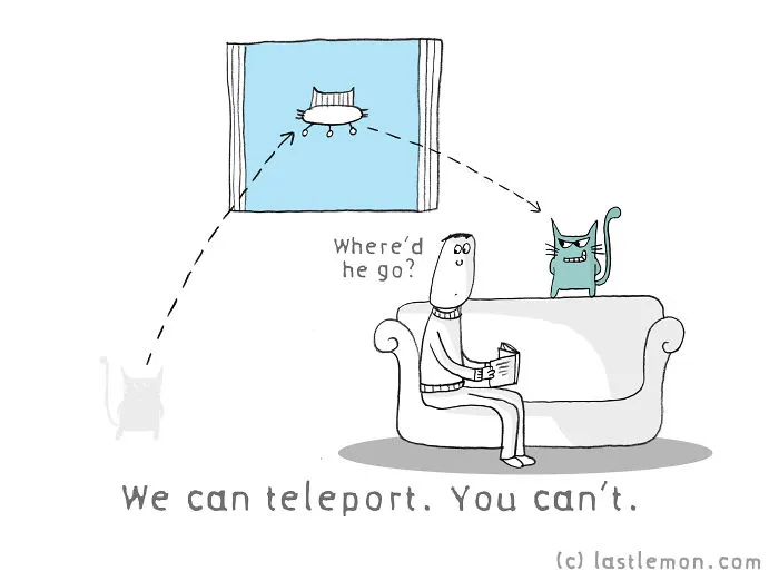Why Are Us, Cats Better Than You, Humans?