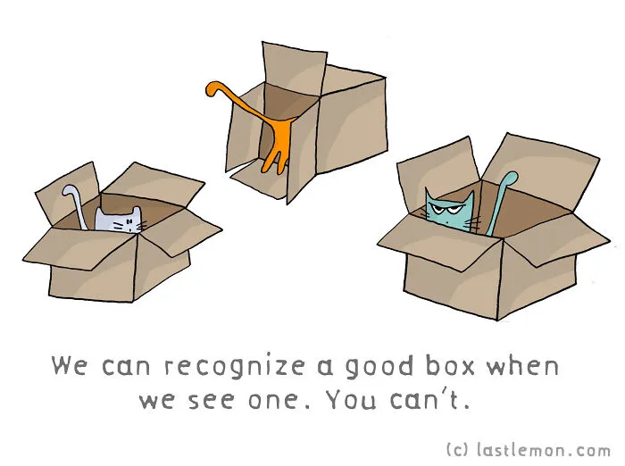 Why Are Us, Cats Better Than You, Humans?