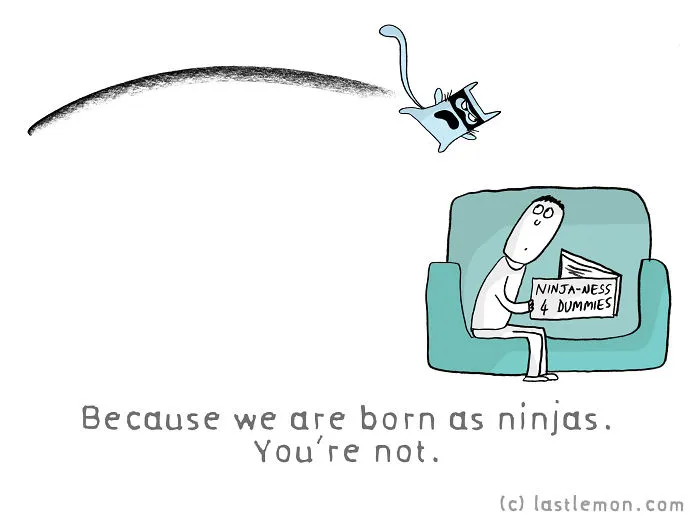 Why Are Us, Cats Better Than You, Humans?