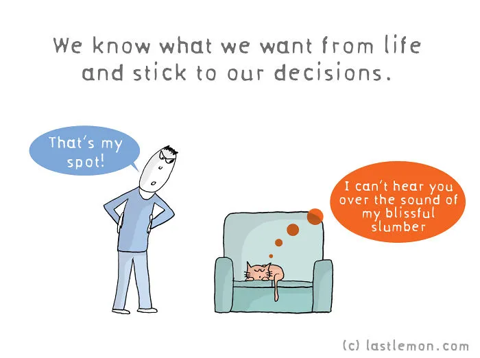 Why Are Us, Cats Better Than You, Humans?