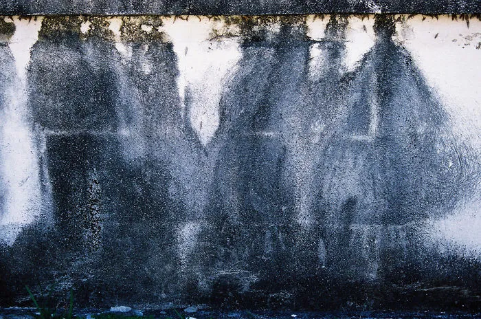 This Moss On A Wall Of A Cemetary Looks Like A Shadowy Gathering Of People From The 1800s.