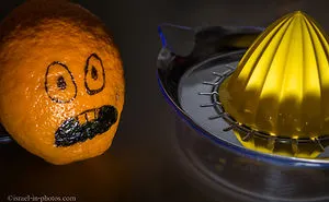 Tribute To Oranges