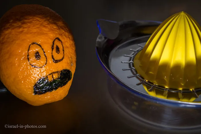 Tribute To Oranges