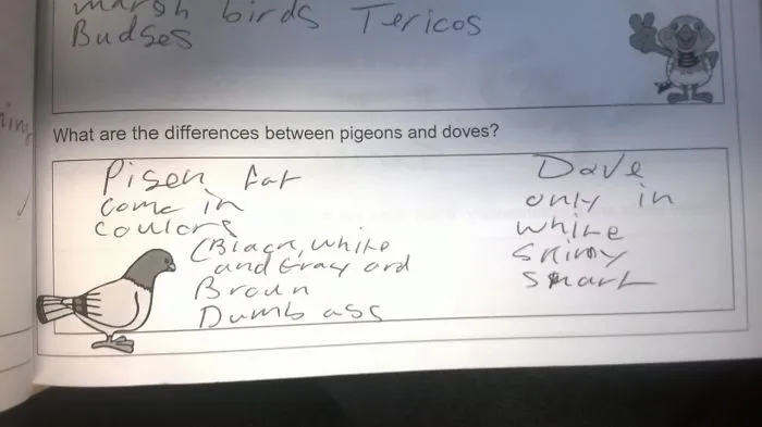 I Tried Teaching Them About Birds....