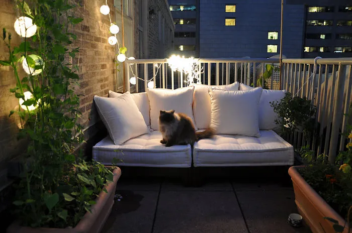 Everything's Cozier With A Cat