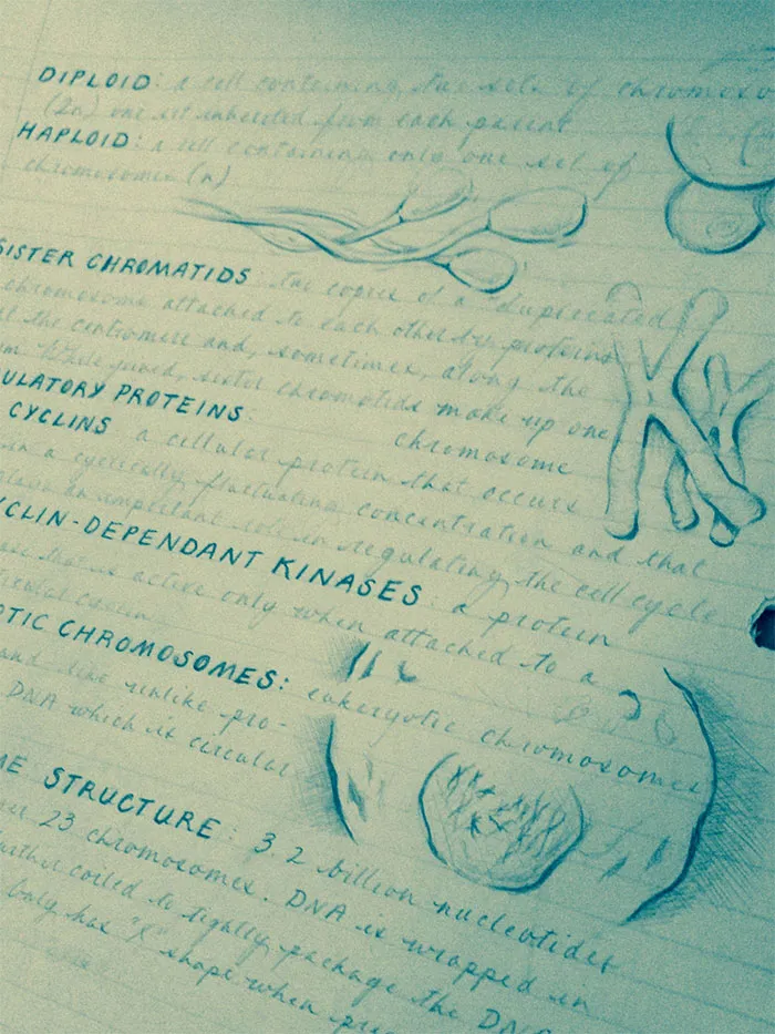 Stunning Handwriting