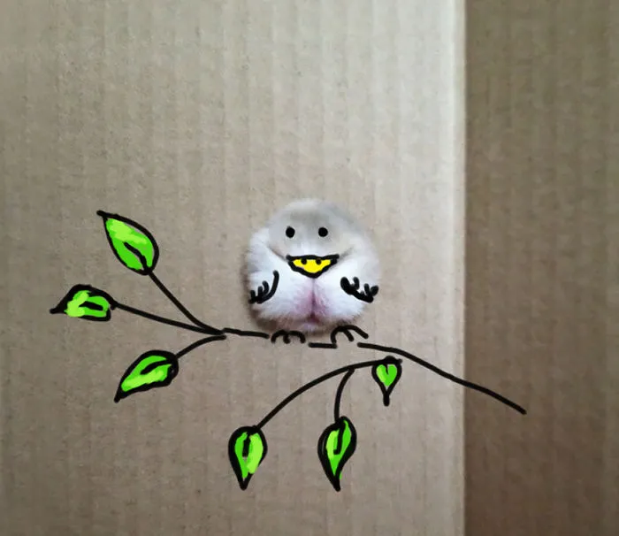 Cute Bird