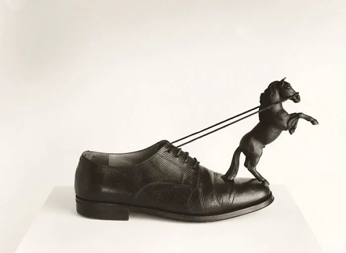 25 Mind-Bending Photos by Chema Madoz That Will Make You Look Twice