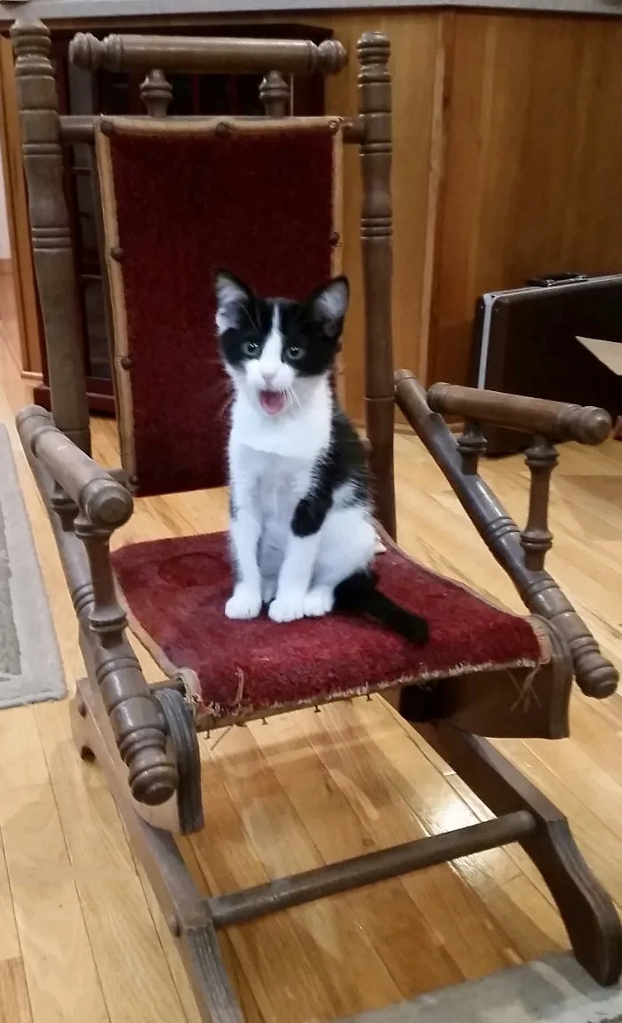 Bob Sings Opera In His Spare Time