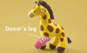 Old Toys Receive Donated Limbs To Educate Kids About Organ Transplants