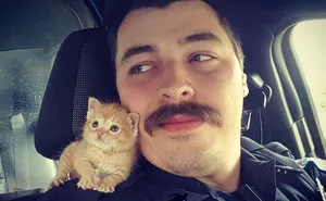 Cop Rescues Kitten Left In The Rain And Now They're Fighting Crimes Together