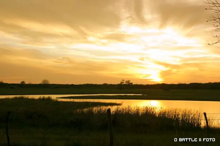 Wetlands Sunset