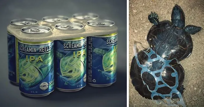 Edible Six-Pack Rings Feed Sea Creatures Instead Of Killing Them