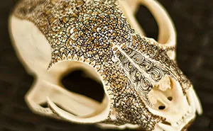 I Decorate Skulls With Golden Mandalas To Honour Fallen Creatures