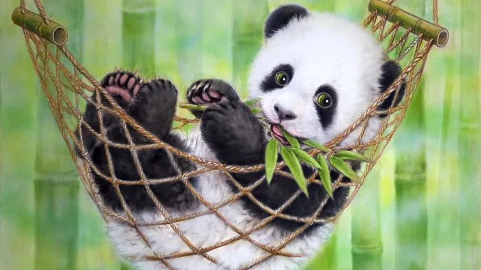Cute Animals That Are Dangerous Or Can Kill You