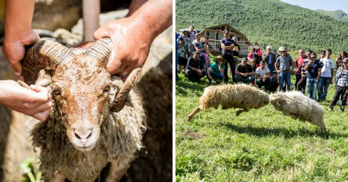Clash Of The Titans: A Unique Festival In Georgia Through The Eyes Of A Traveler
