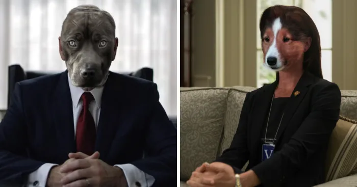 We Reimagined House Of Cards Cast As Dogs