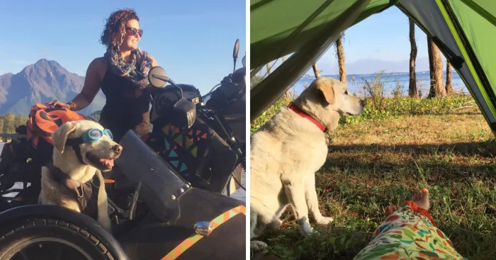 Me And My Dog Spent More Than 250 Nights Under The Stars Camping Across North America