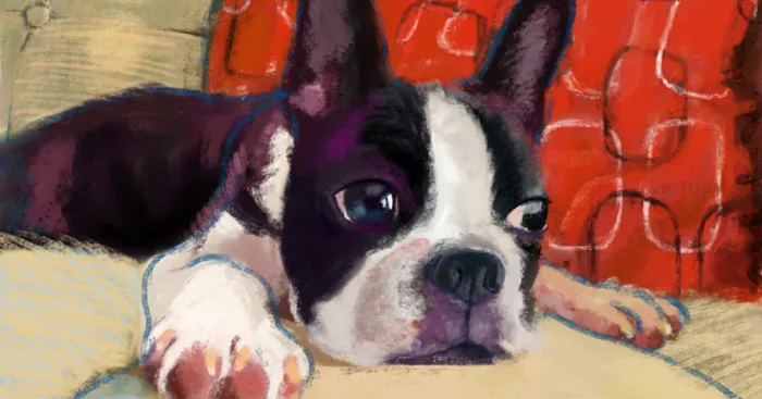 Since I Can't Have Pets, I Draw Them Instead
