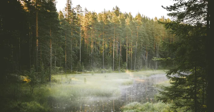 Swedish Photographer Captures Scenes Untouched By Humans