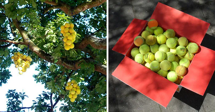 I Created Recycling Guerilla Art By Making A Tennis Ball Tree