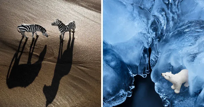 I Made These Photos To Raise Awareness About Human Threats To Wildlife