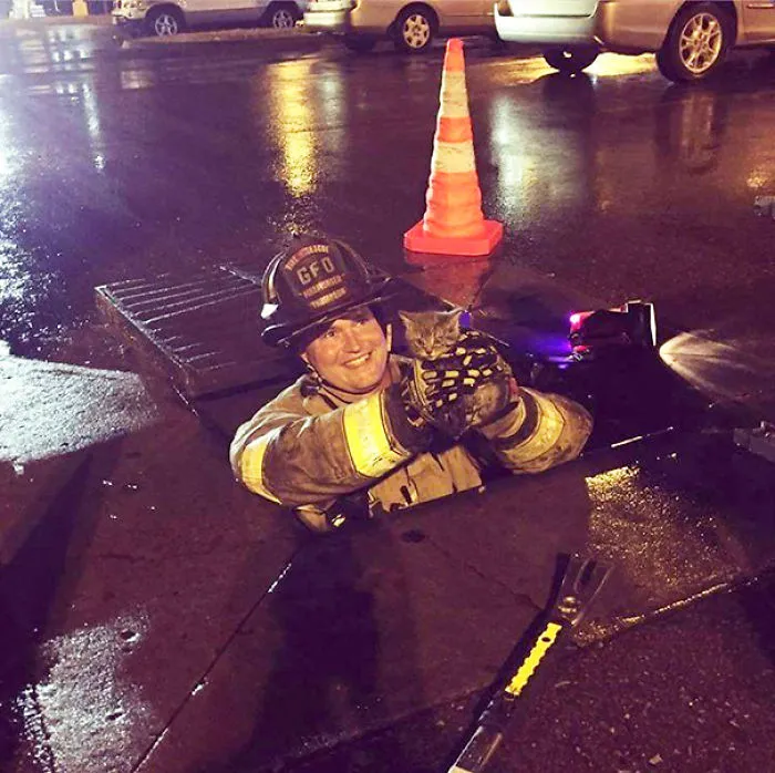 Firefighter Buddy Saving A Tiny Kitten