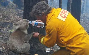 48 Firefighters Who Risked Their Lives To Save Animals