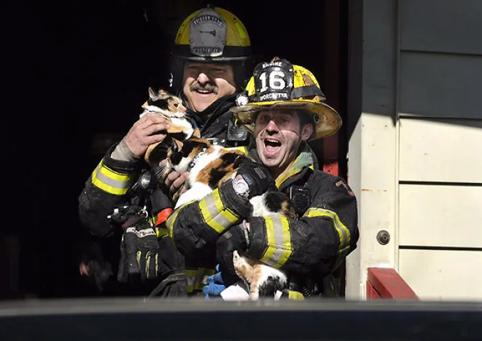 Worcester Firefighters Save Pets From Blaze