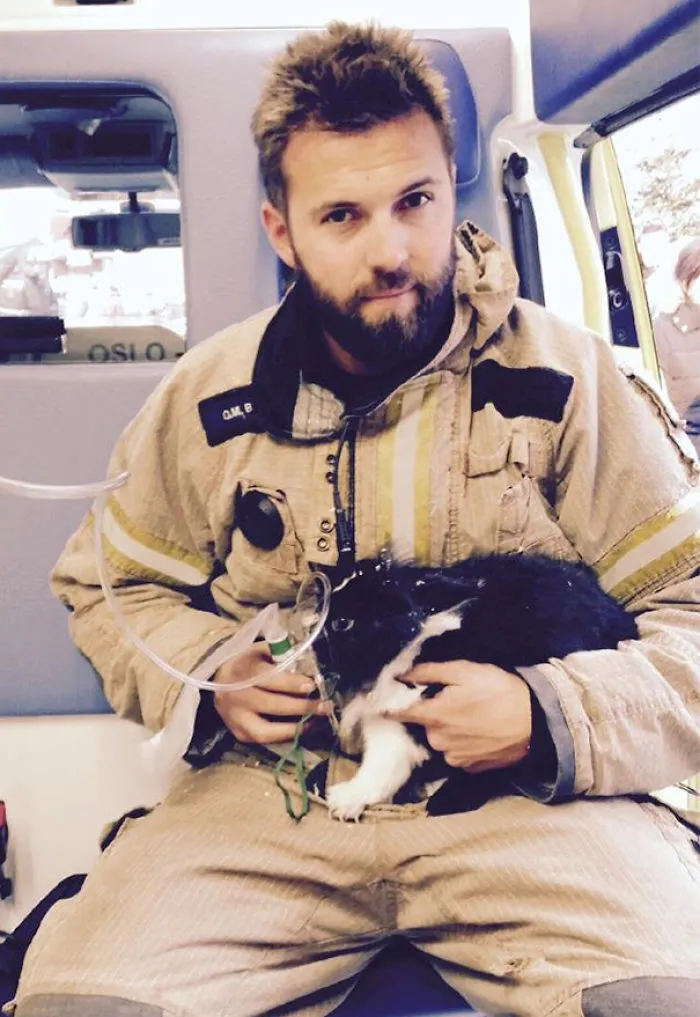 Norwegian Firefighter Giving Oxygen To A Rabbit After Rescuing It From An Appartment Fire