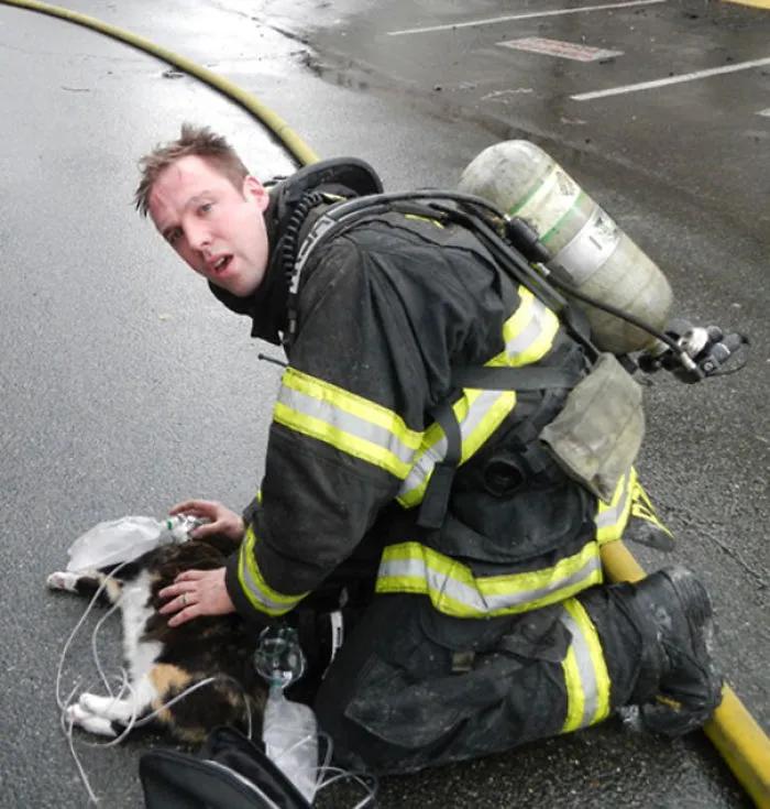 The Crew Rescued A Cat That Was Barely Breathing From Under The Bed