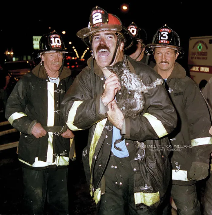 Besides This Kitten, Which Survived, Firefighters Also Rescued Several Dogs, A Bird In A Cage,  And A 9 Foot Python. No Humans Were Harmed In This Fire